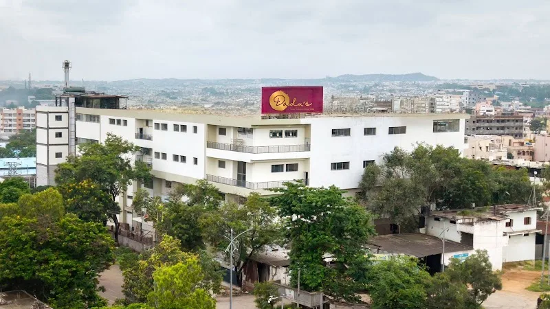 Dadu's Centralized Factory, Nacharam