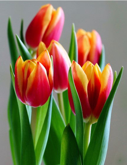 Colored Pencil/Pastel Class at Creative Junk Therapy