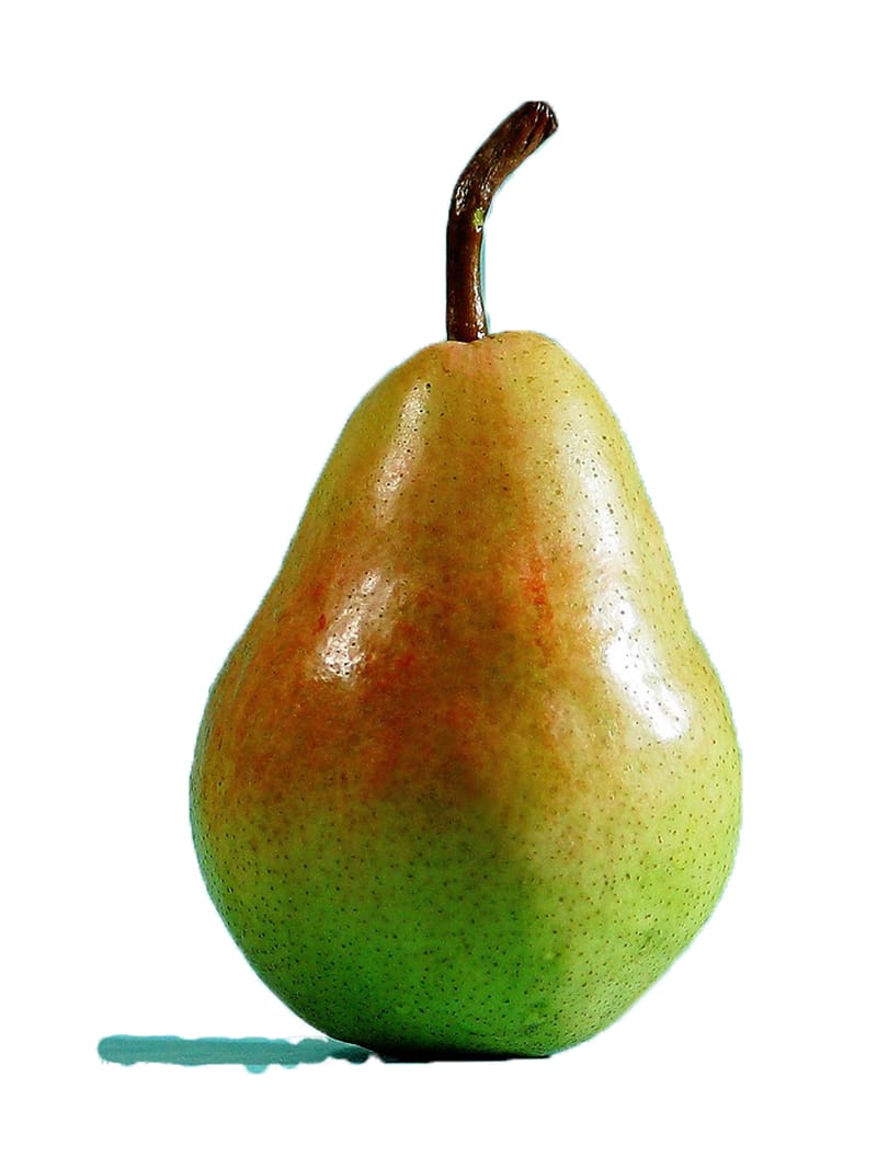 Colored Pencil Class at Creative Junk Therapy