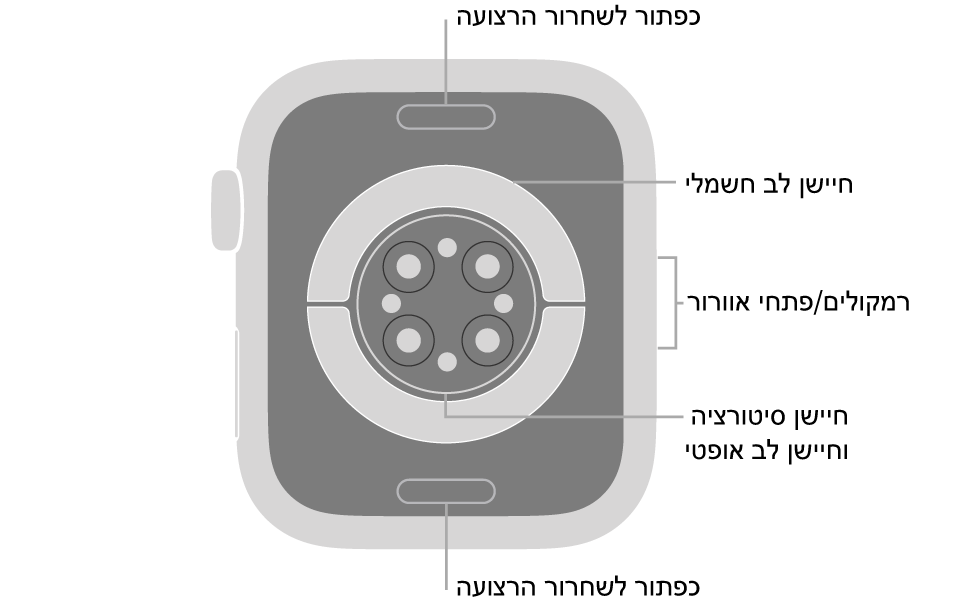 החלק האחורי של Apple Watch Series 6 עם כפתורי שחרור הרצועה למעלה ולמטה, חיישני הדופק האלקטרוניים, חיישני הדופק האופטיים וחיישני רמת החמצן בדם בחלק המרכזי והרמקול/פתחי האוורור בצד.