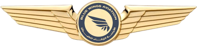 Blue Wings Aviation