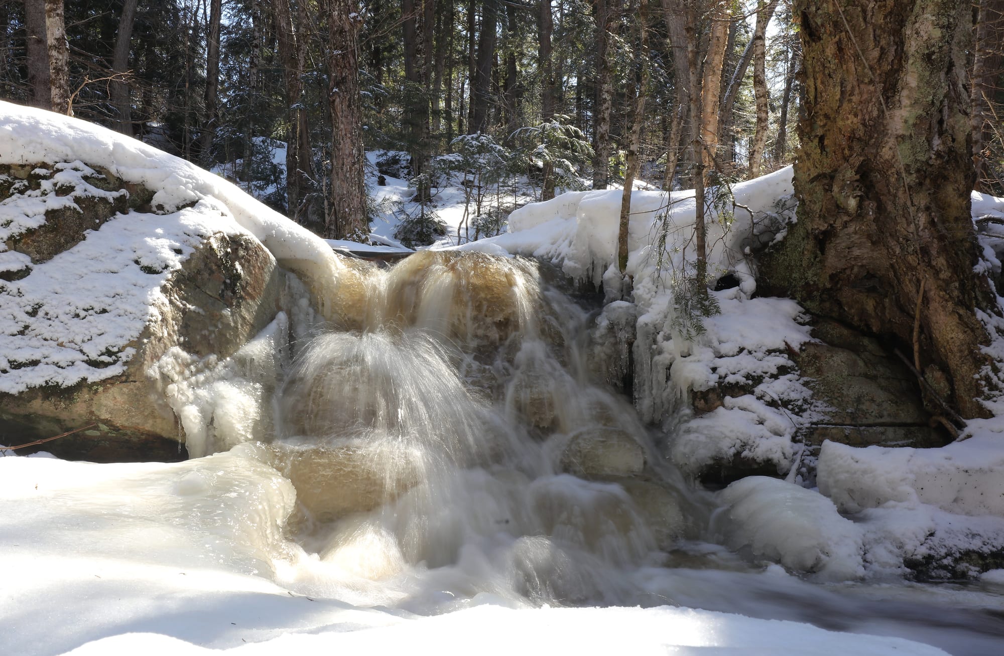 Waterfall at Mizzy Lake Trail - Algonquin Provincial Park - Ontario