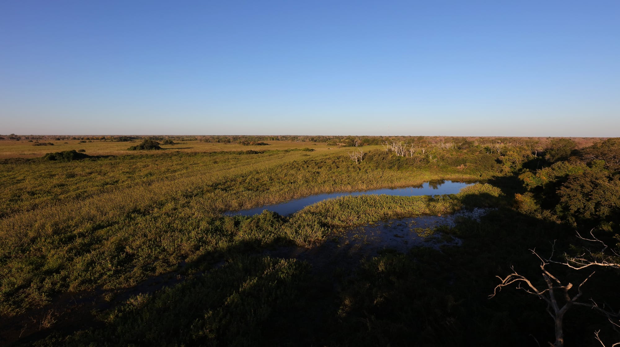 Pantanal - Mato Grosso - Sunset - Howler Monkey Tower