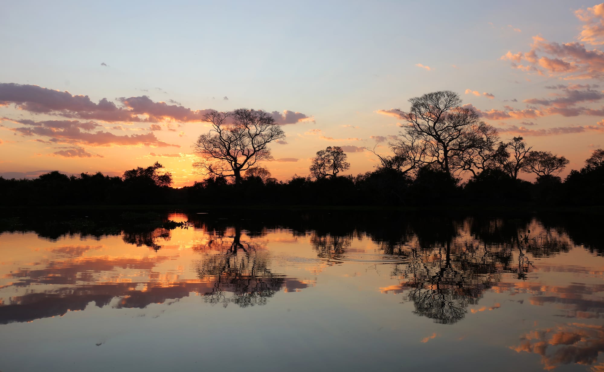 Rio Sararé - Pantanal - Mato Grosso - Sunrise