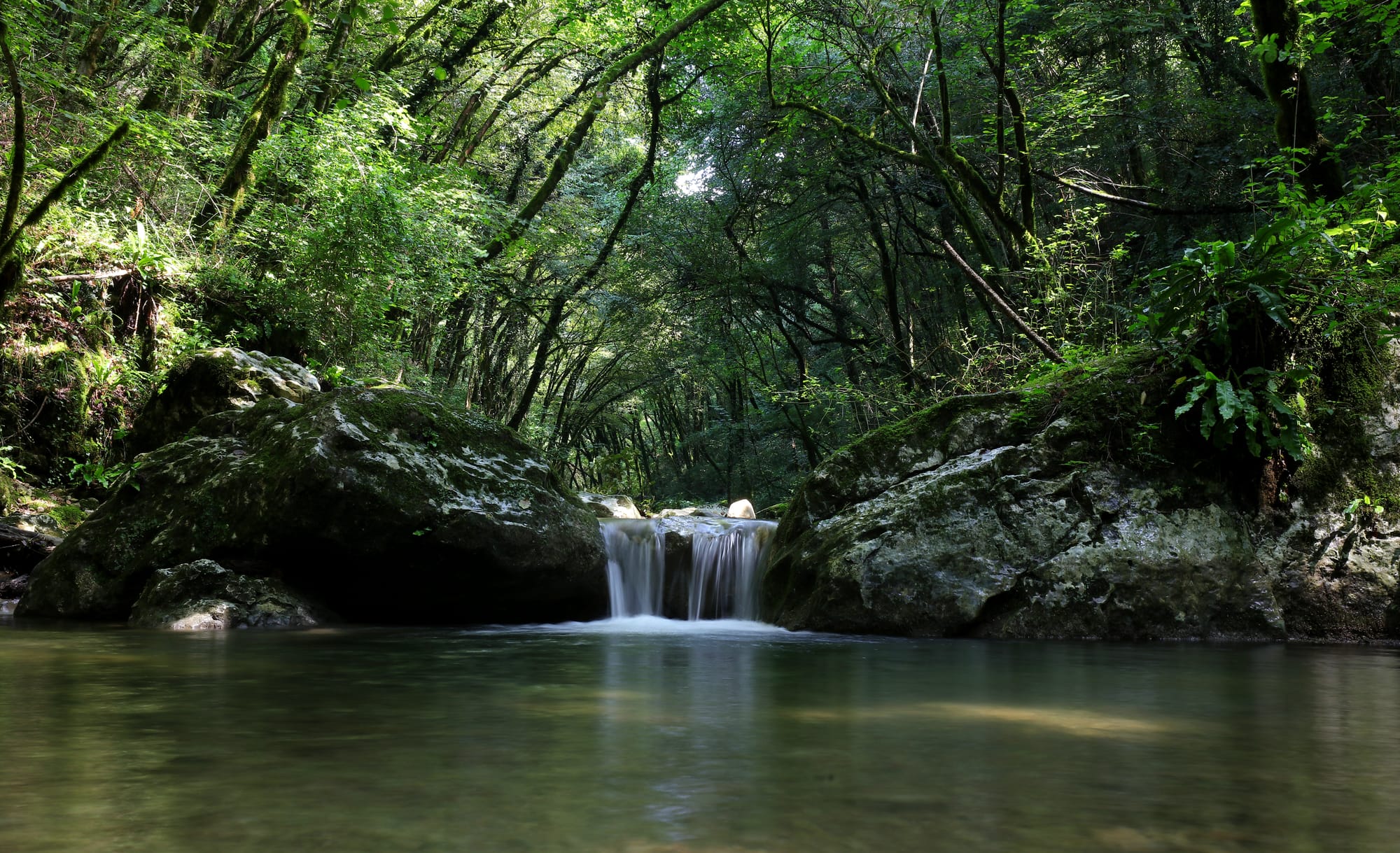 Valle dei Progni di Fumane - Veneto -Italia