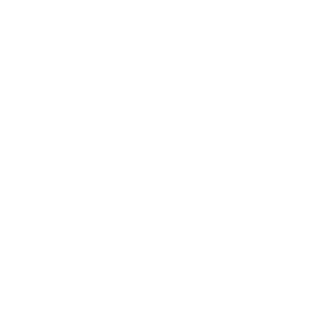 Branded Box Icon