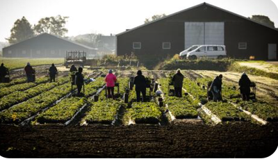 Lezersreactie in het FD over gebrek aan Toekomstgerichtheid van bestuurders