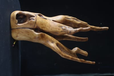 qUIEN ES miguel martino image