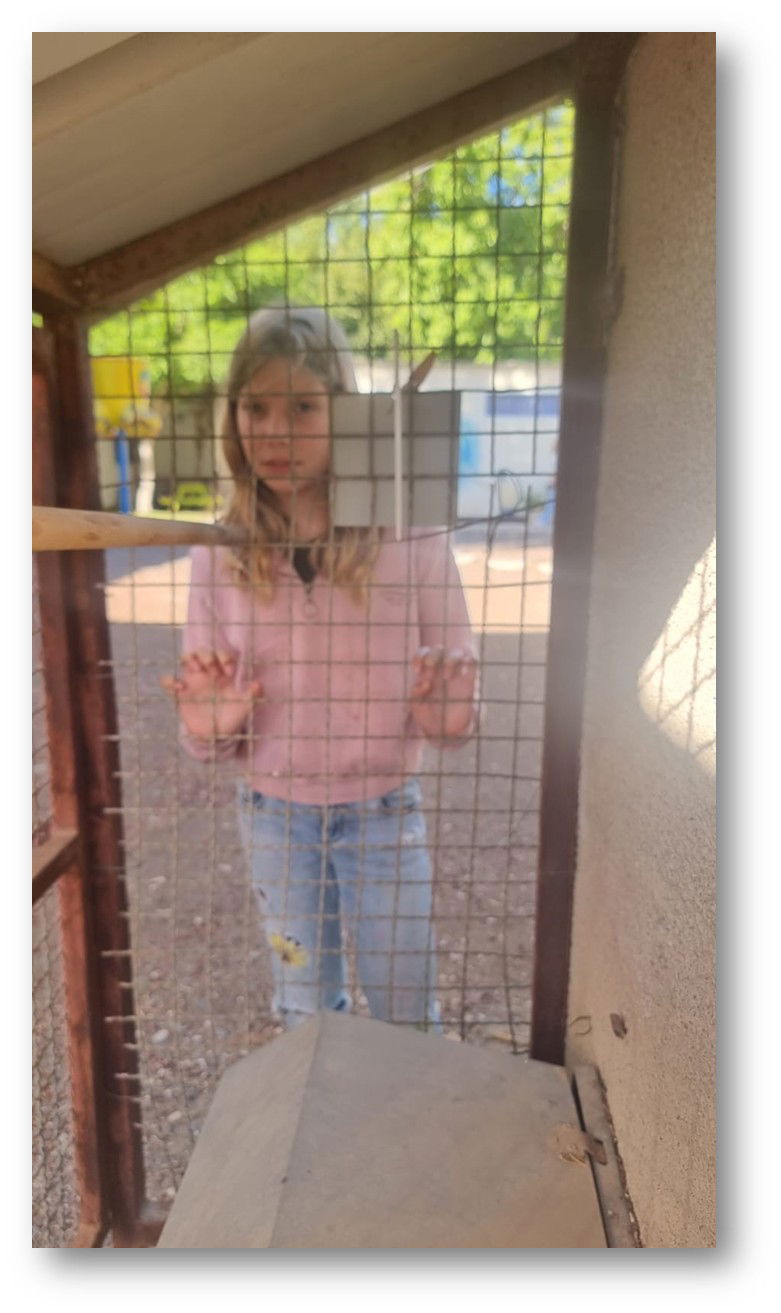 יש לי משהו להגיד לכם