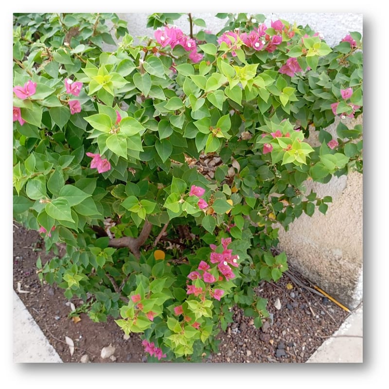 יש לי משהו להגיד לכם