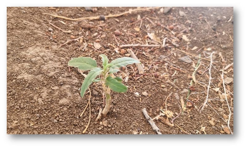 יש לי משהו להגיד לכם