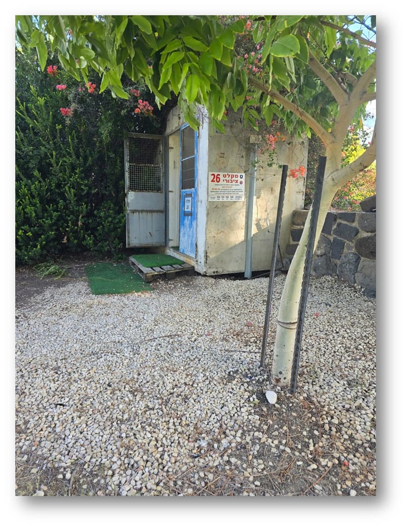 יש לי משהו להגיד לכם