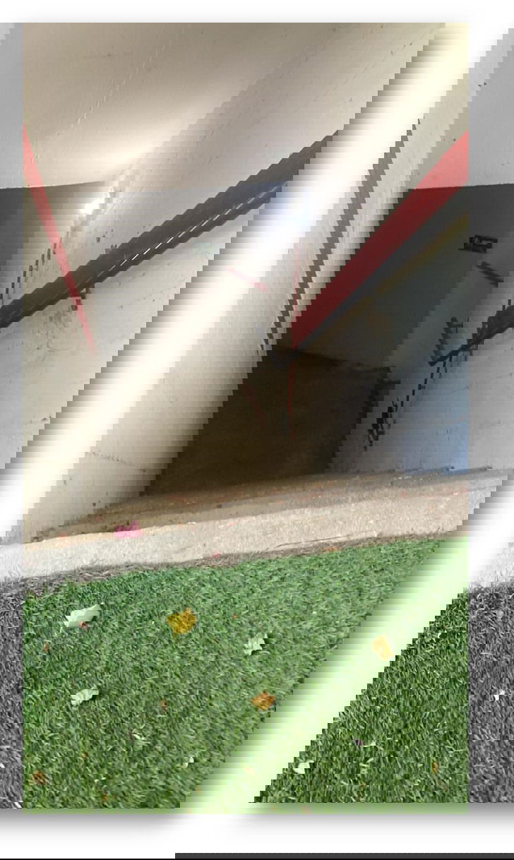 יש לי משהו להגיד לכם