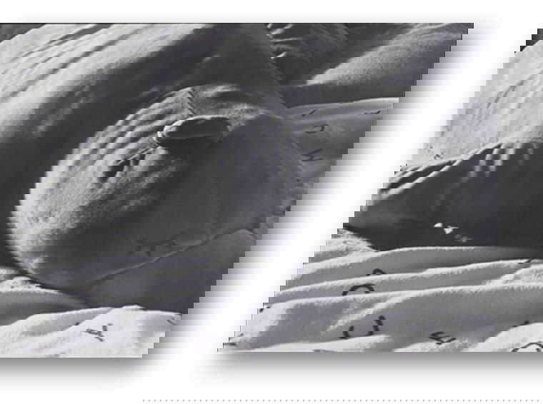 יש לי משהו להגיד לכם