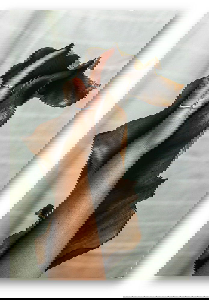 יש לי משהו להגיד לכם