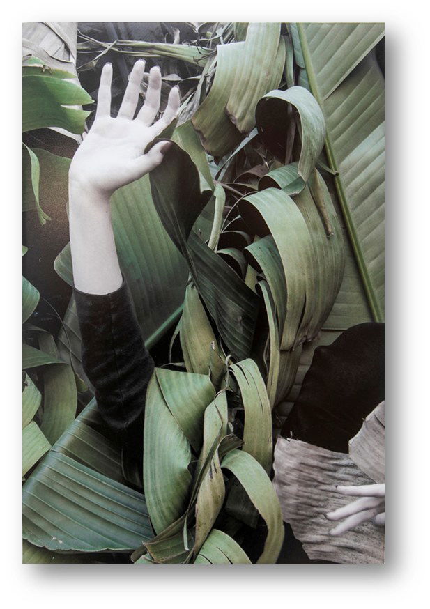 יש לי משהו להגיד לכם