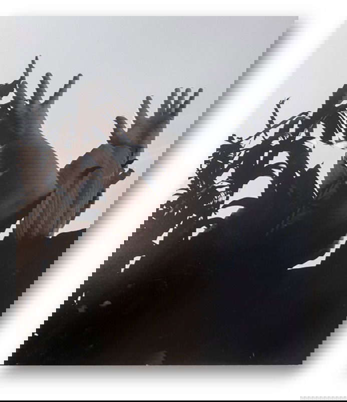 יש לי משהו להגיד לכם