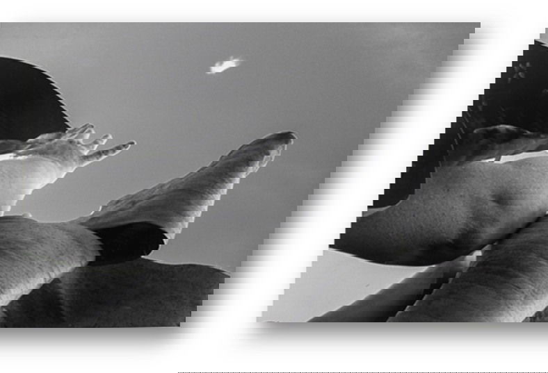 יש לי משהו להגיד לכם