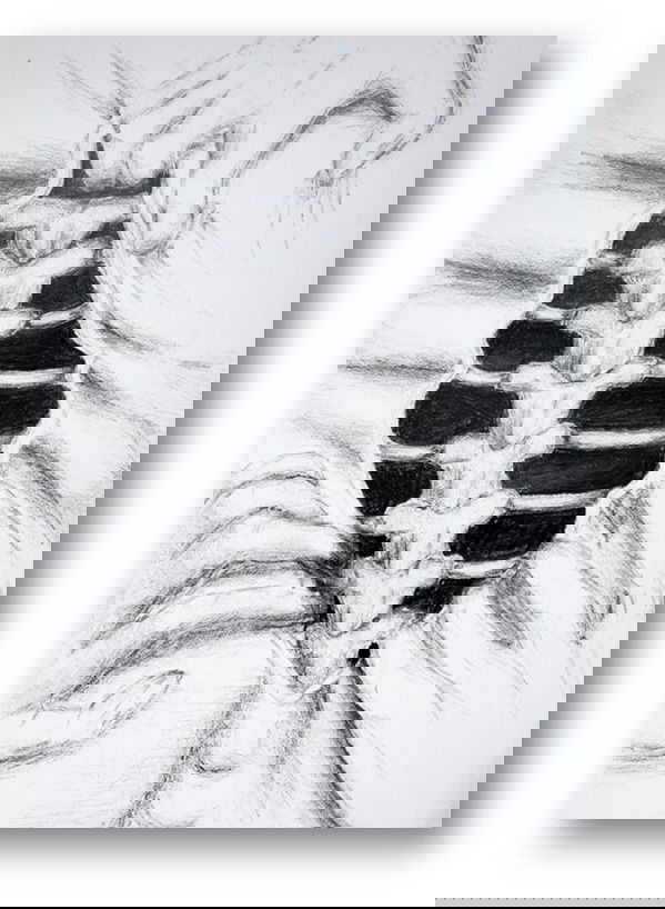 יש לי משהו להגיד לכם