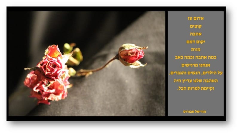 יש לי משהו להגיד לכם