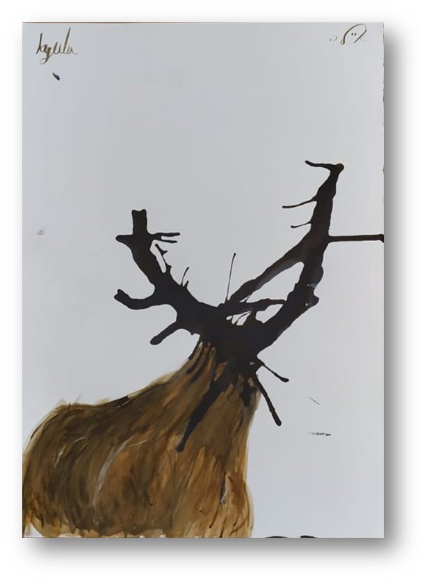 יש לי משהו להגיד לכם