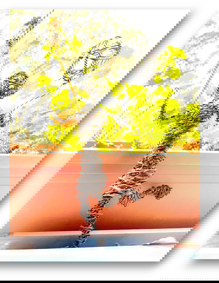 יש לי משהו להגיד לכם