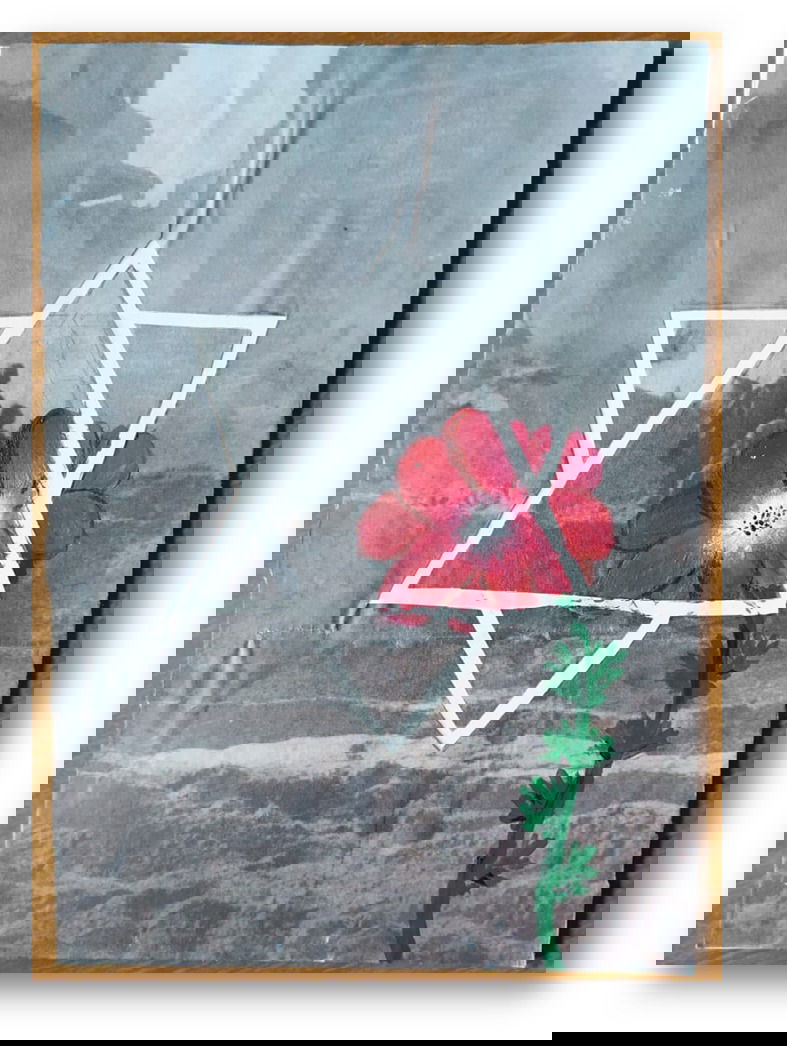 יש לי משהו להגיד לכם