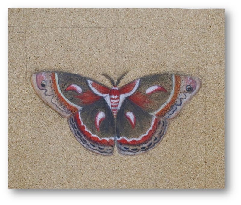 יש לי משהו להגיד לכם