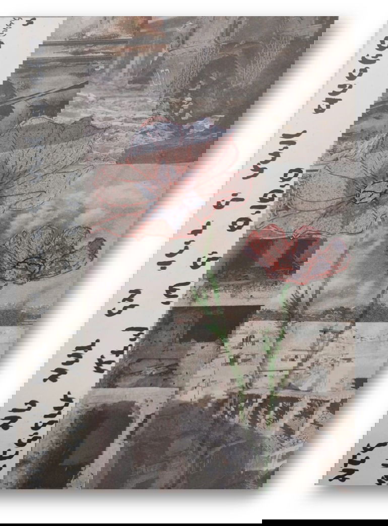 יש לי משהו להגיד לכם