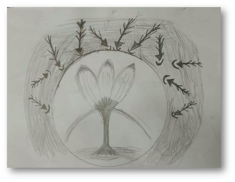 יש לי משהו להגיד לכם