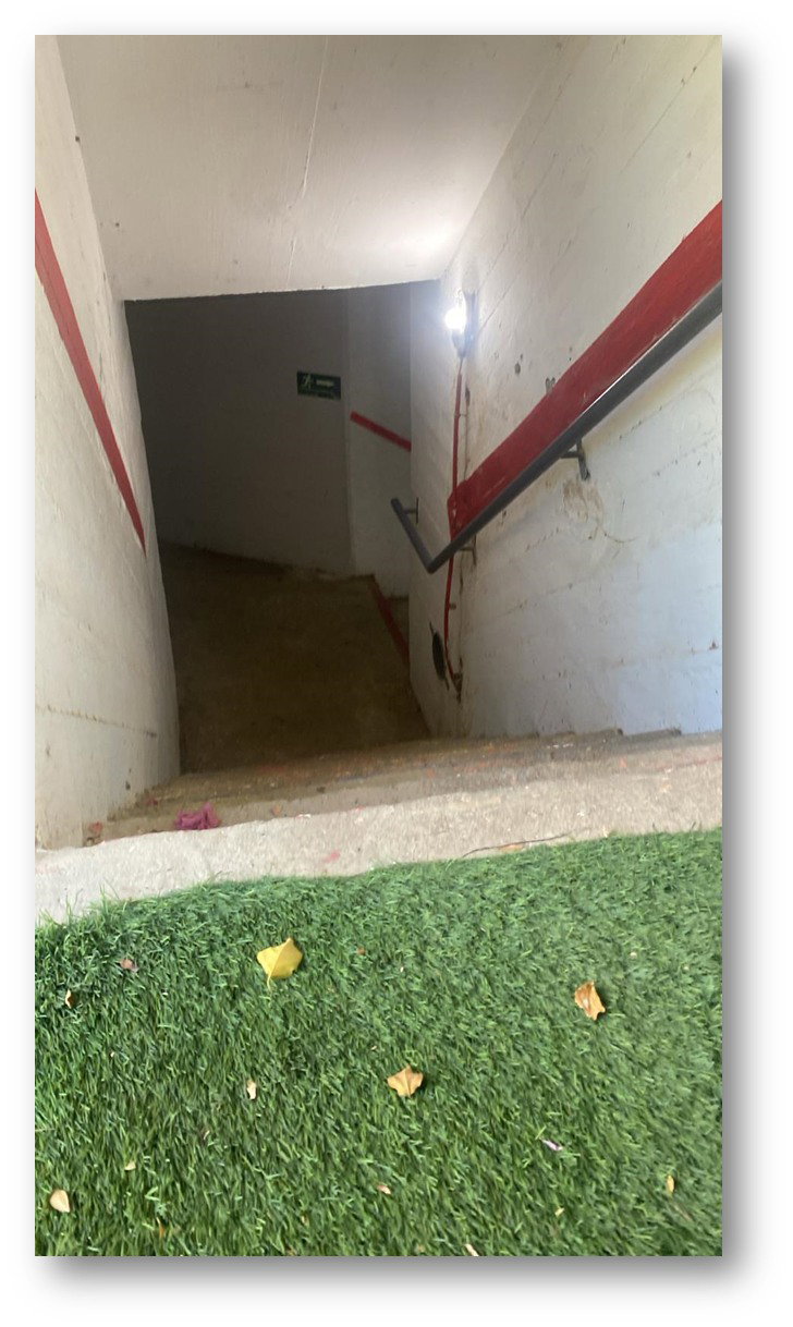 יש לי משהו להגיד לכם