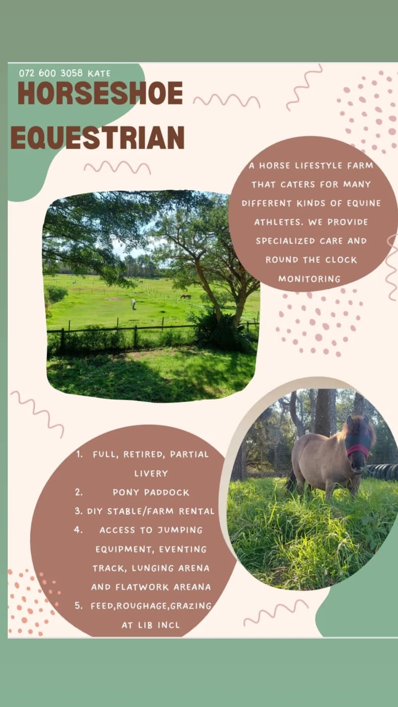 Full Livery for Competition Horses