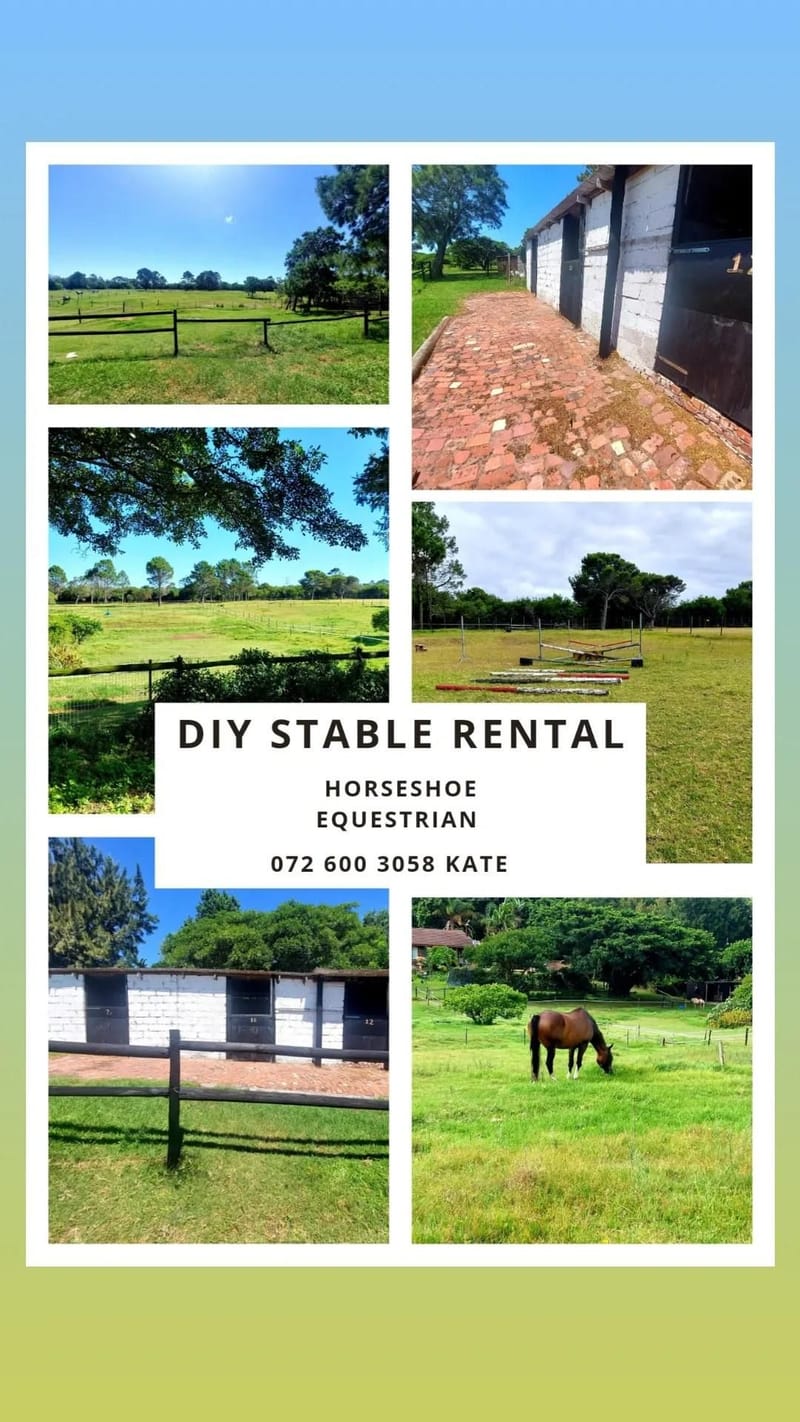 Stable DIY Rental