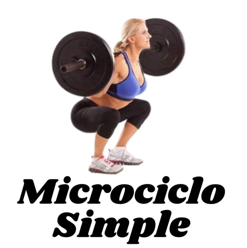 Microciclo simple