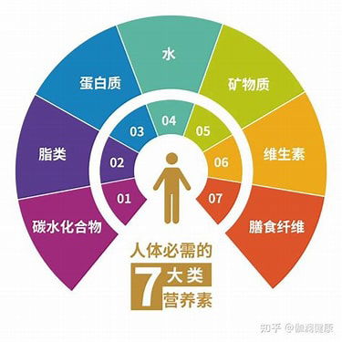 A Clear Glance Into Personalized Vitamins个性化维生素