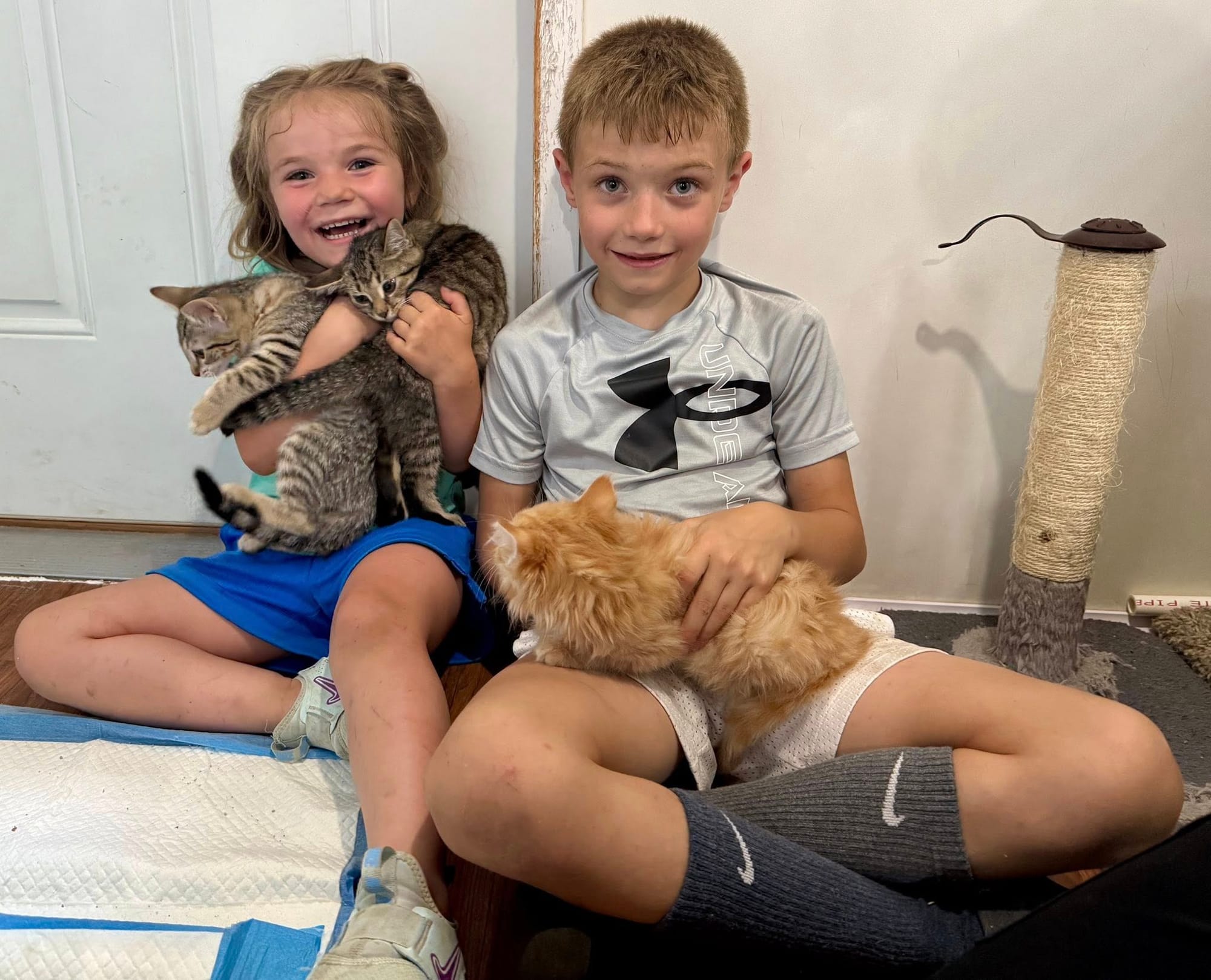 Sparkles, Spumoni & Duncan adopted 6-24-2025