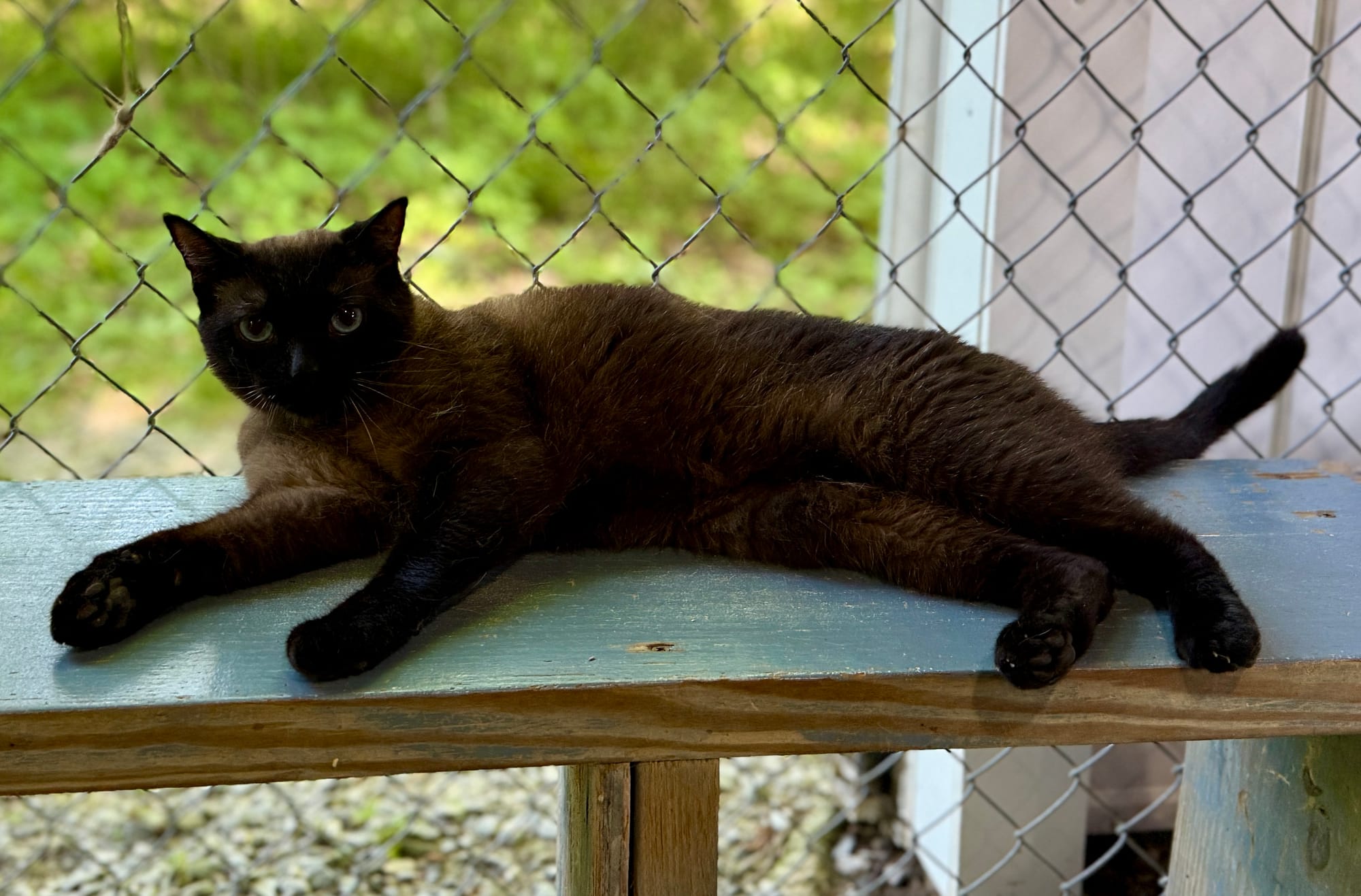 Yeager adopted 7-24-2025