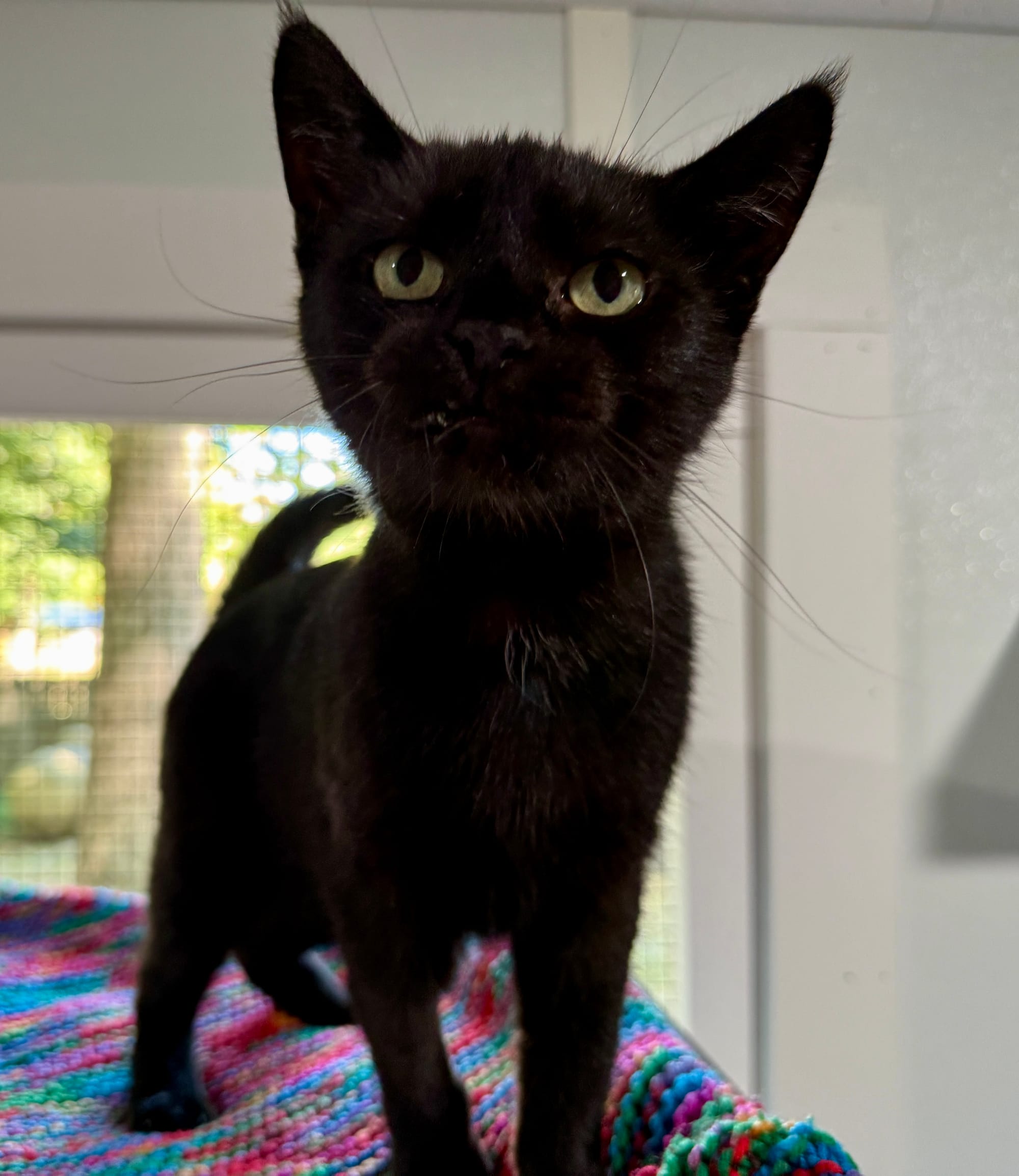 Salem