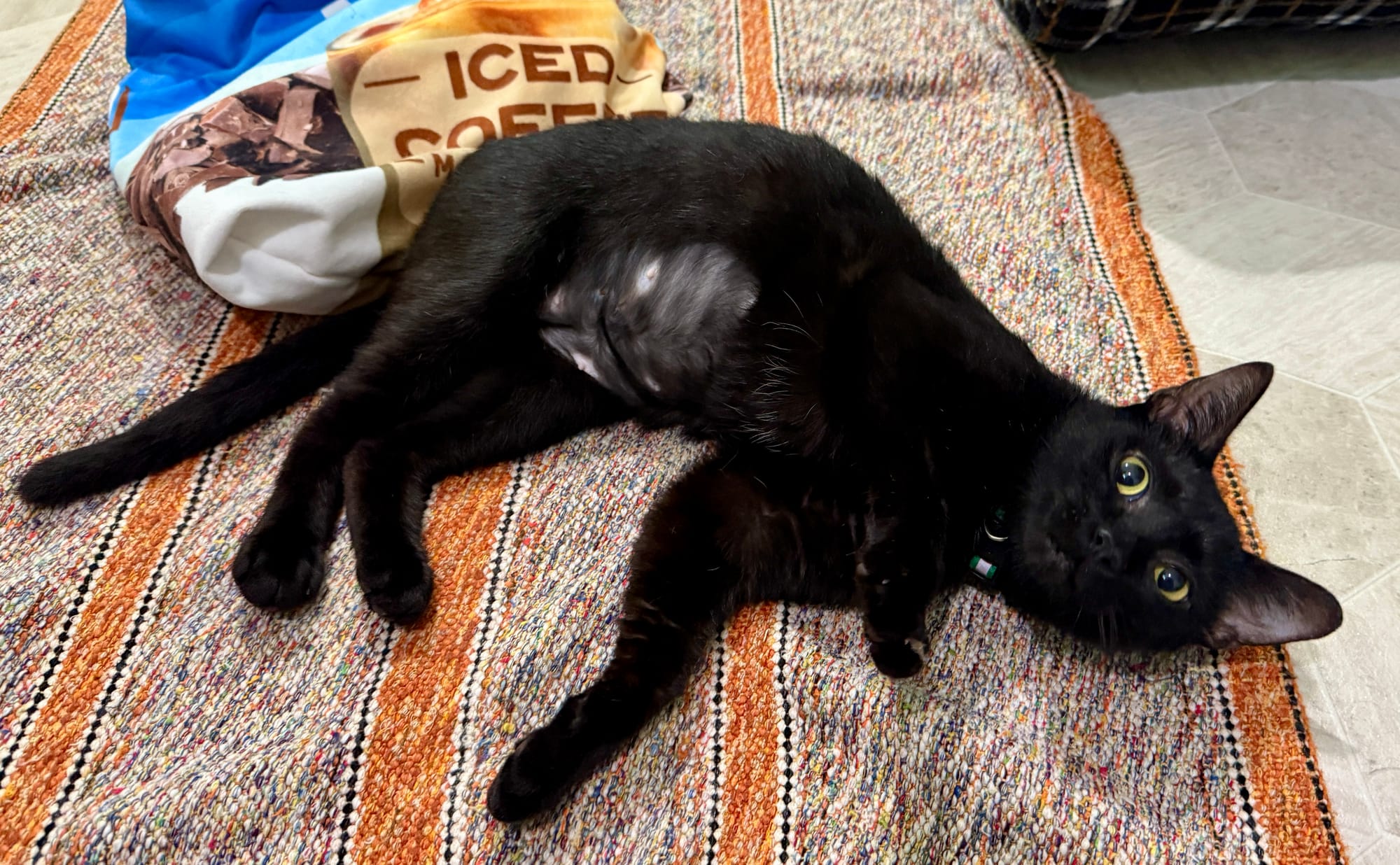 Emerald adopted 9-15-2025