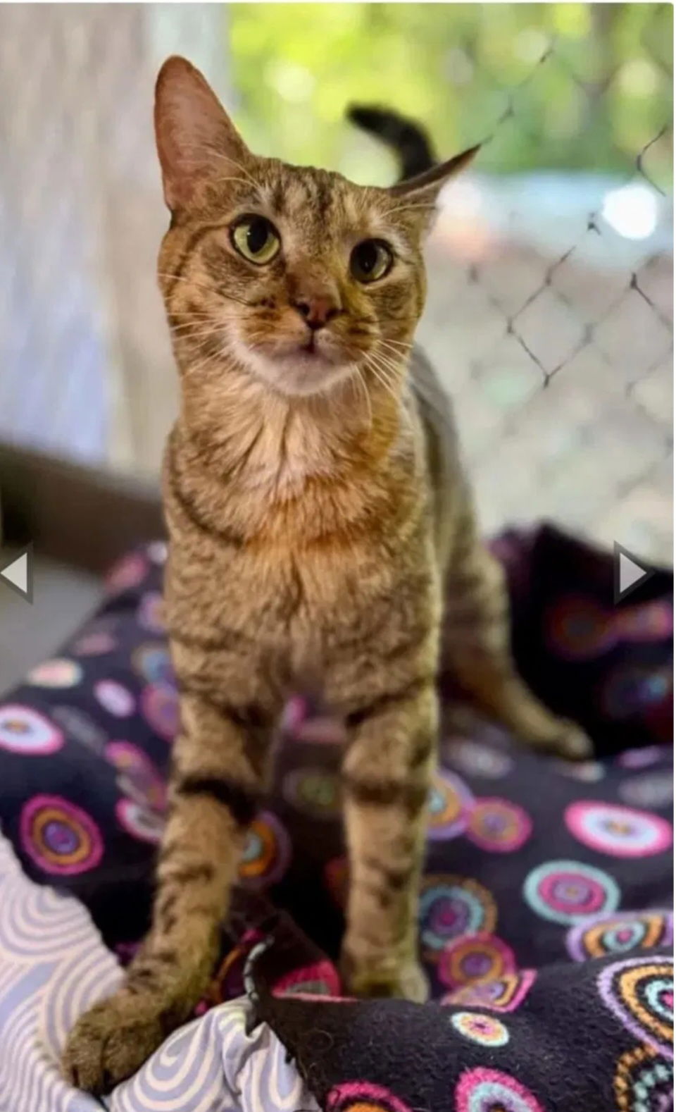 Nadia- adopted 11-24-25