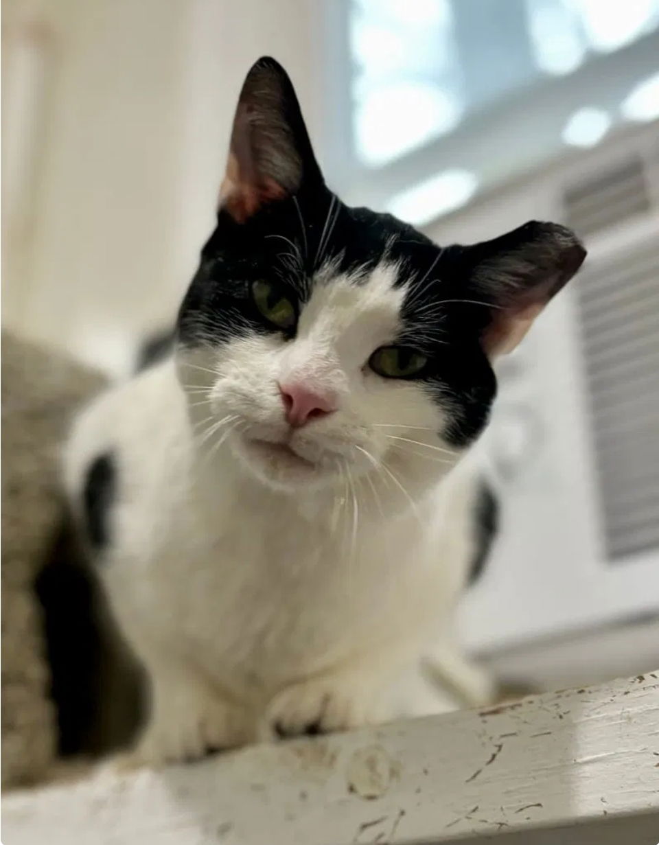 Hope- adopted 12/13/25