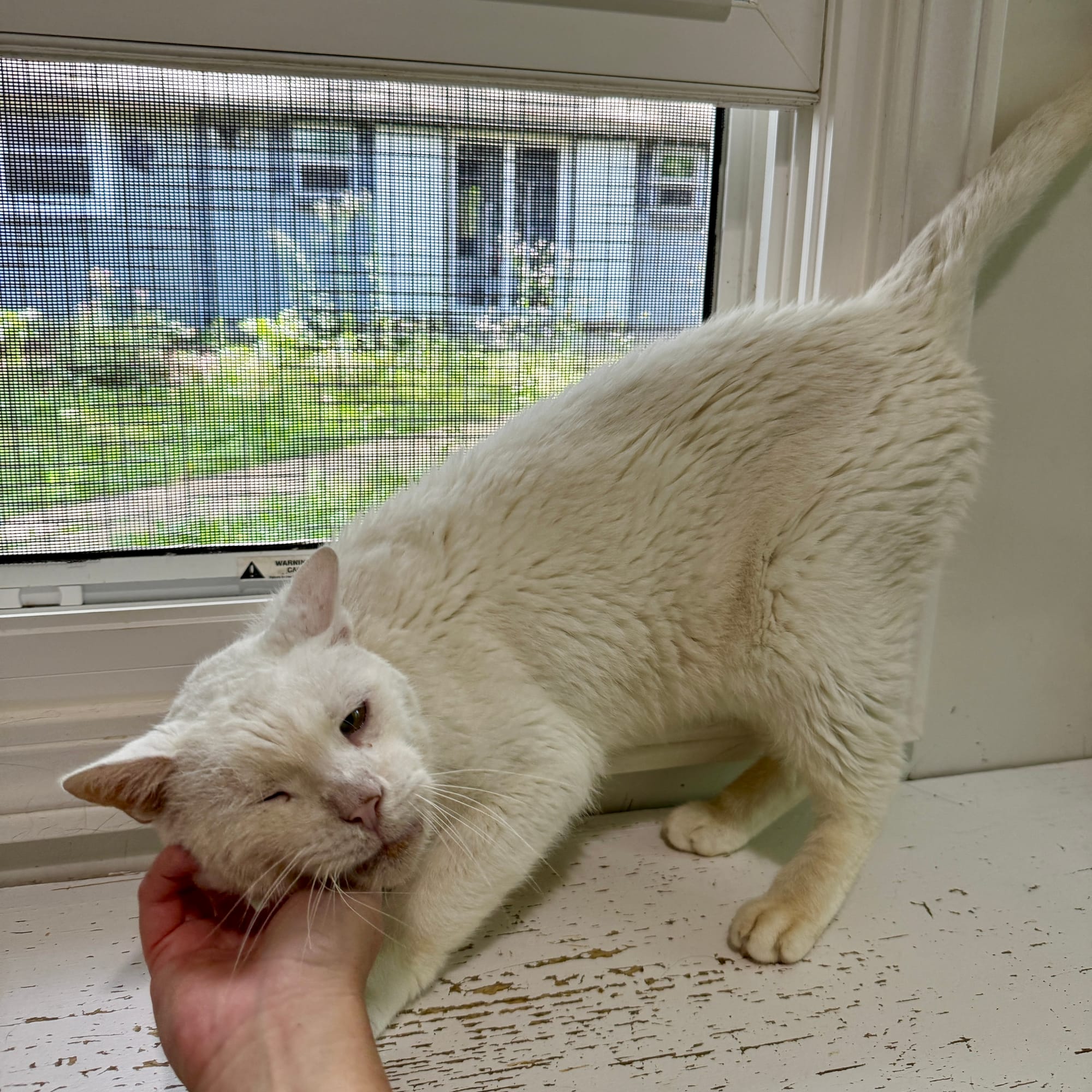 Casper