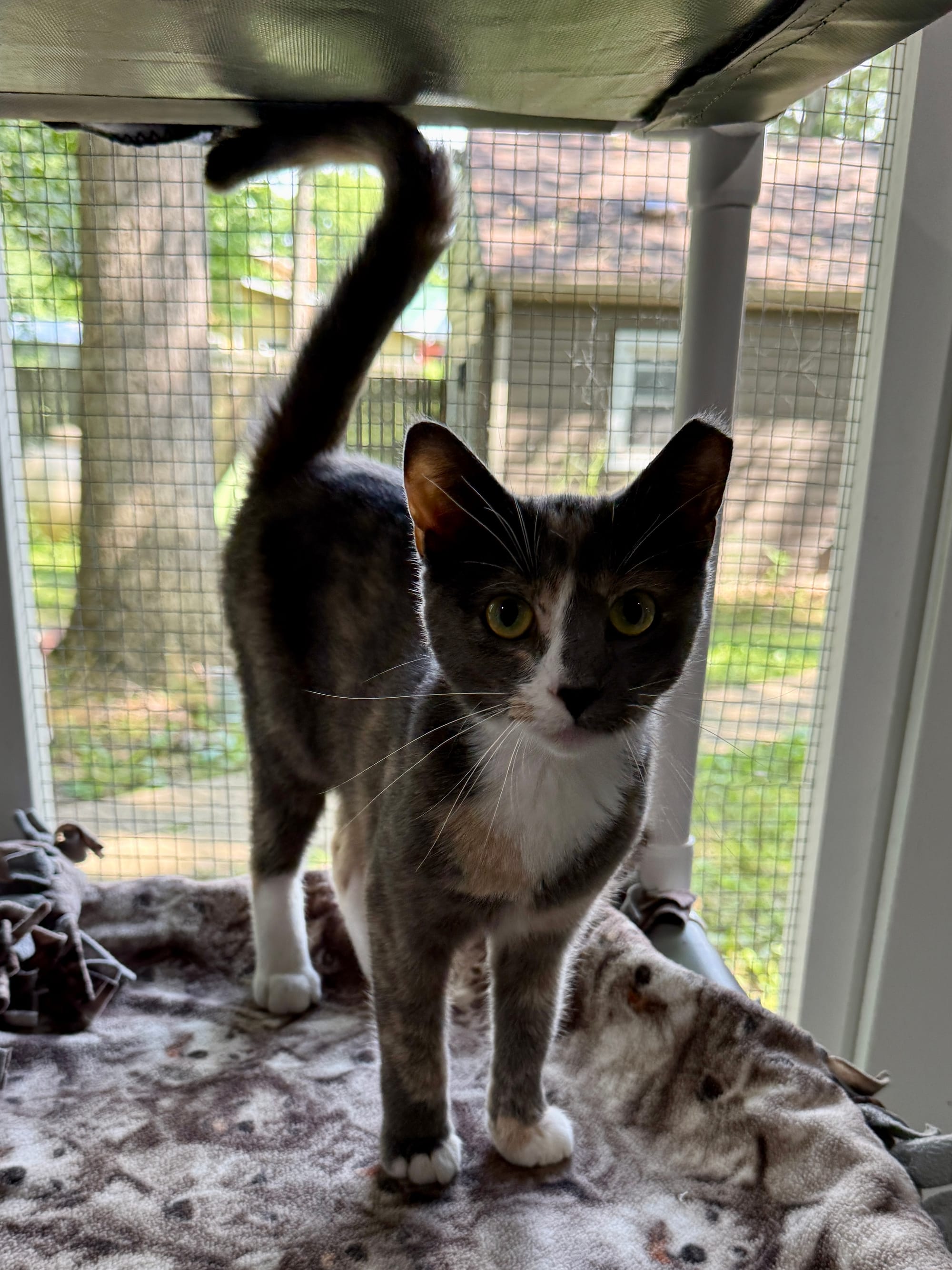 Maggie