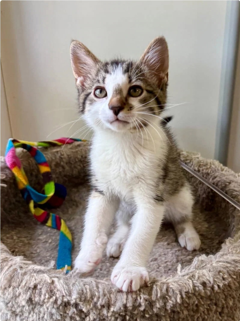 Jake- adopted 7-31-26