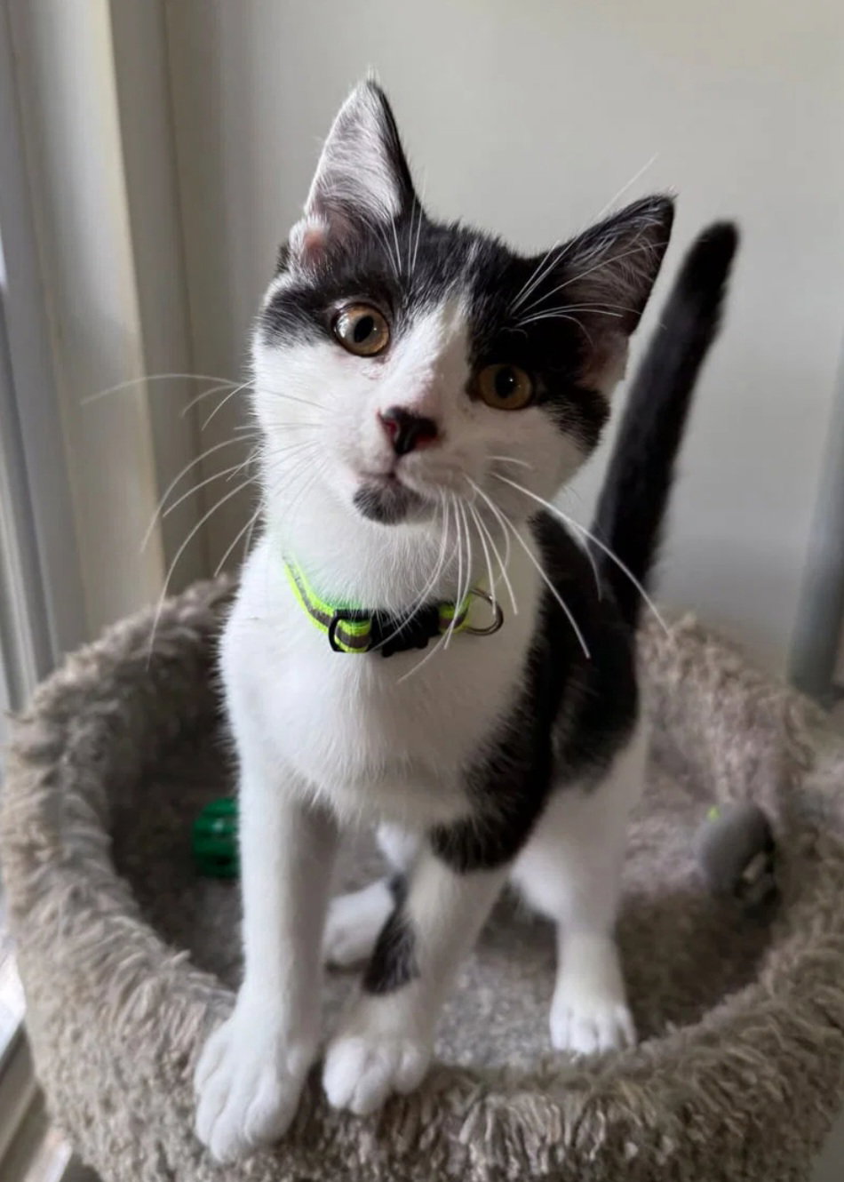 Estel Floyd- adopted 9-11-26