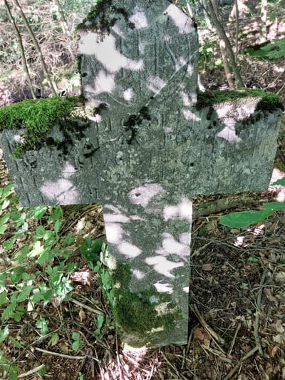 ✝️ La croix au bord du bois Salmon