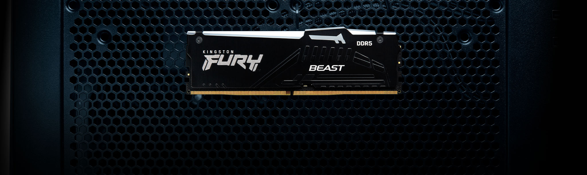 KINGSTON FURY BEAST DDR5