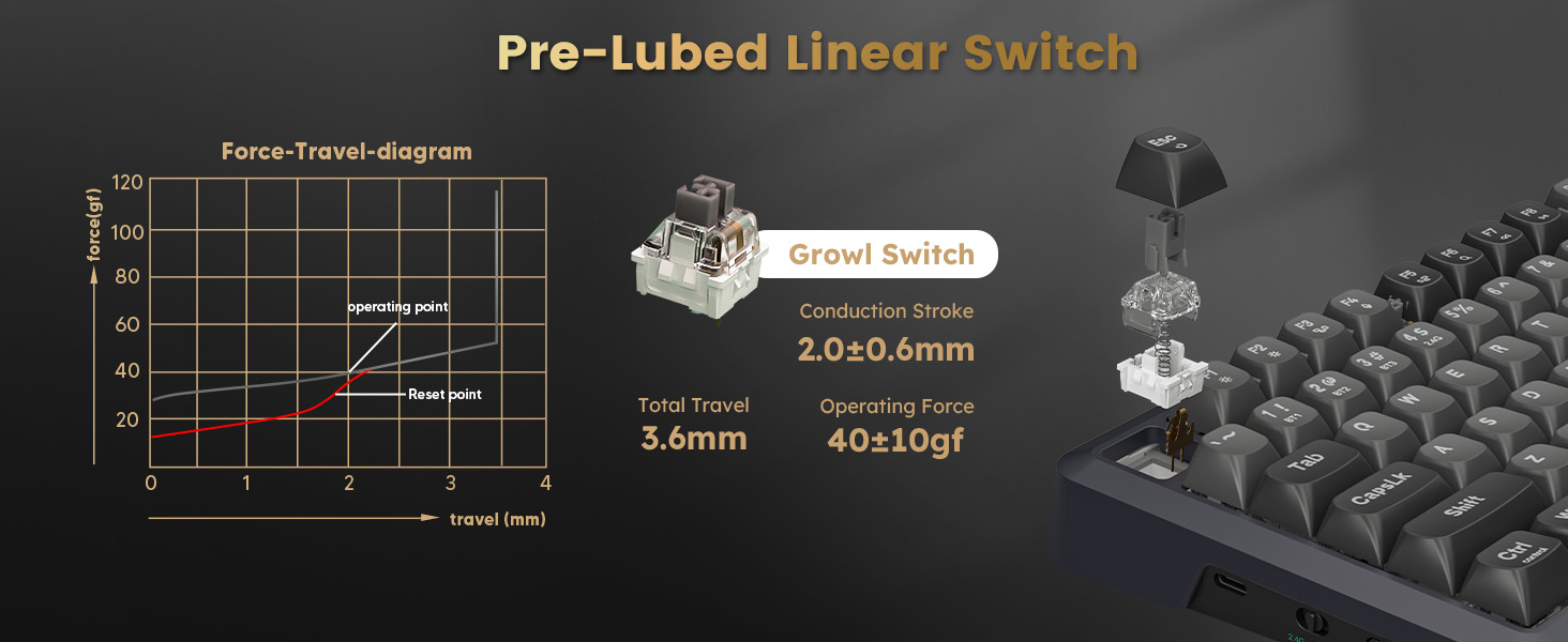 Pre-Lubed Linear Switch