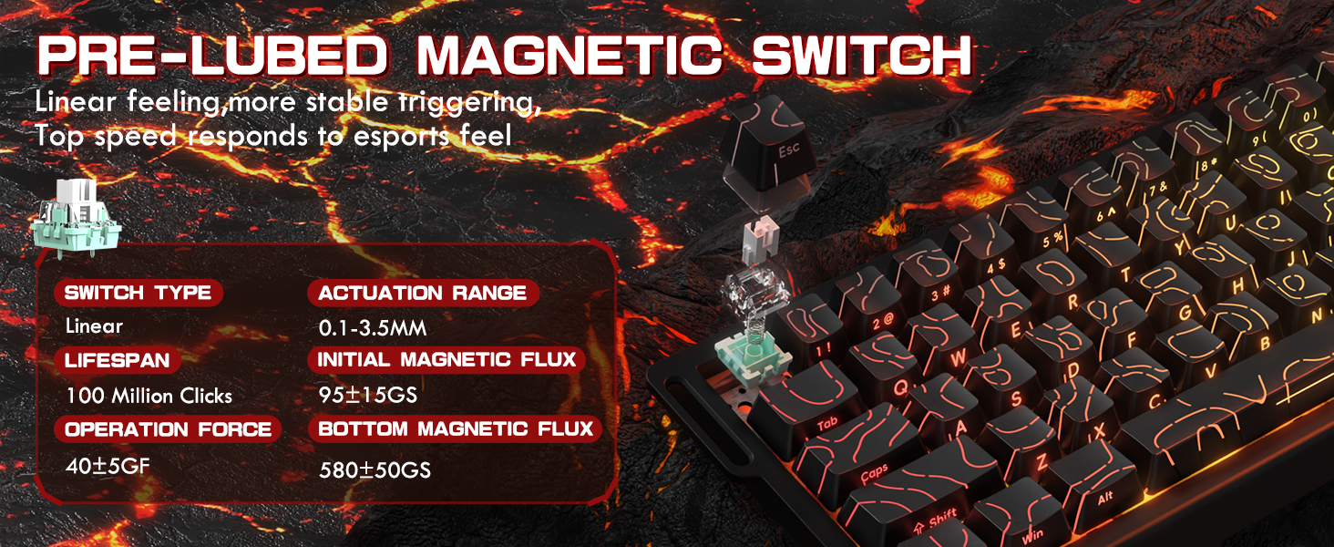 Magnetic Switch