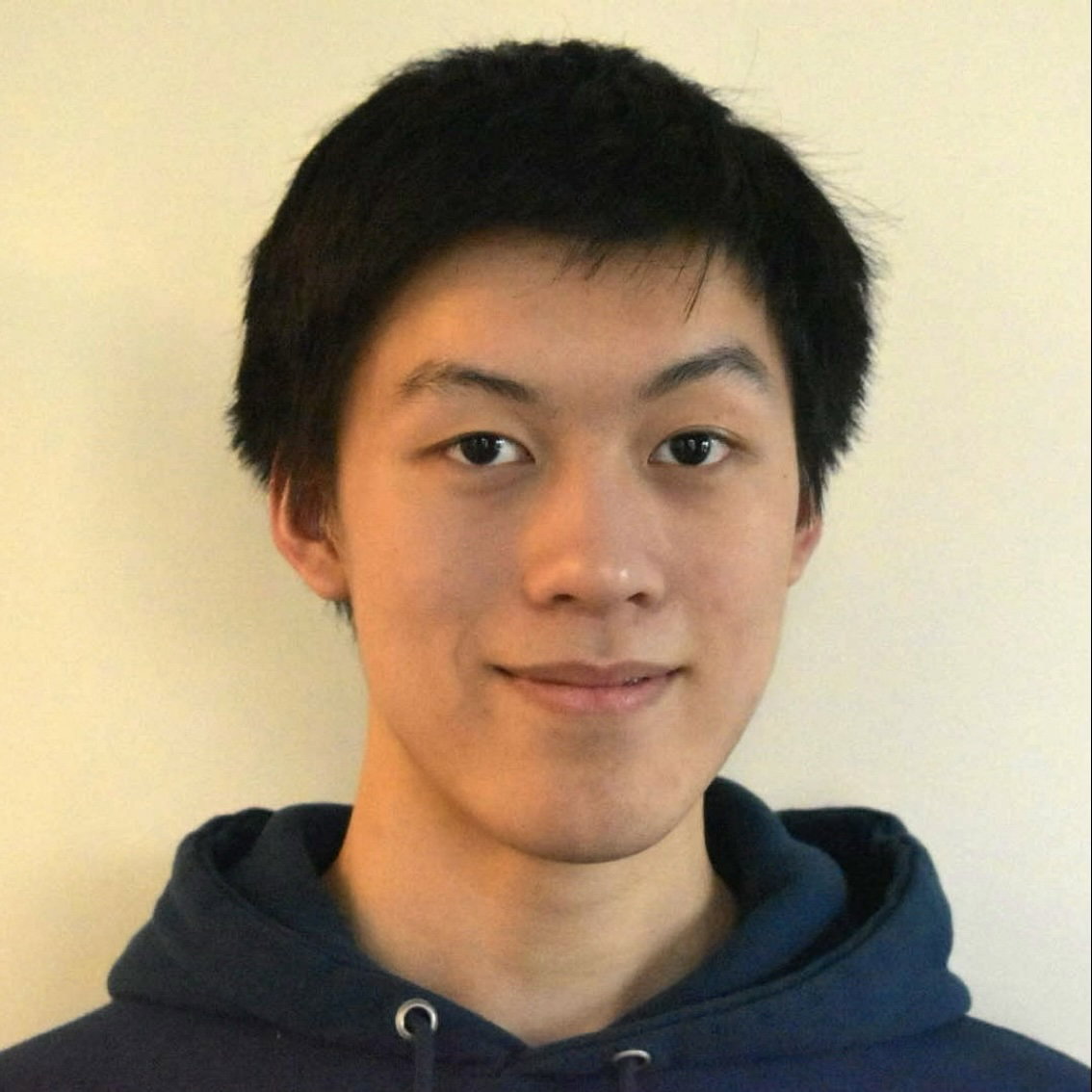 Honors Thesis 2026 - Henry Gao